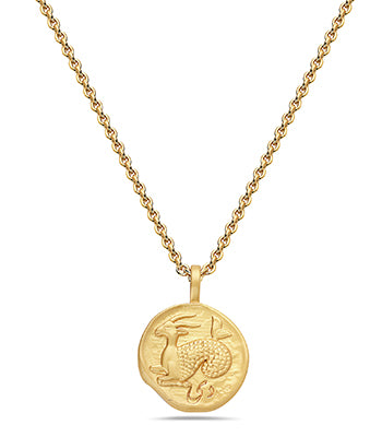 Zodiac Sign Necklace Capricorn